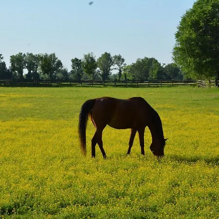 San Bernardo Lägenhet *