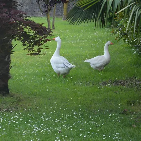 San Bernardo Lägenhet San Bernardo (Udine)