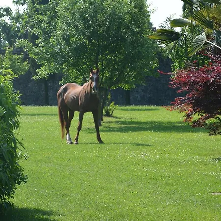 Lägenhet San Bernardo San Bernardo (Udine)