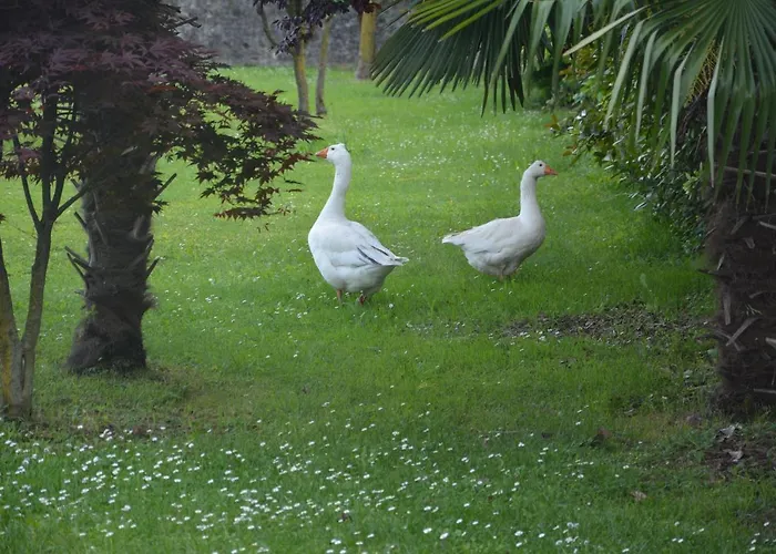 San Bernardo Apartman San Bernardo (Udine)